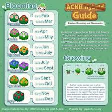 Pin By Kavitha Nair On Acnh In 2020 Animal Crossing Animal Crossing Game New Animal Crossing
