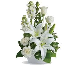 Welcome to our online hospital gift shop. Best Florists In Sydney Update List Of Leading Florists