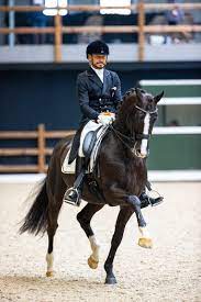 He and the stallion totilas, were triple gold medalists at the 2010 fei world equestrian games, becomi. Thanks To The Sons Of Totilas Edward Gal Has Something To Choose For The Olympic Dressage Ebonyst Com