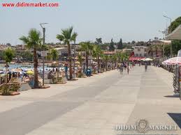 Didim altınkum ana plajı türkiye'nin ve dünyanın sayılı plajlarından dır.i̇smini altın gibi kumlara olan benzerliğinden almıştır. Altinkum Didim Region