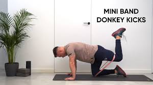 Check spelling or type a new query. Mini Band Donkey Kicks Atlas Cwiczen Michal Wrzosek