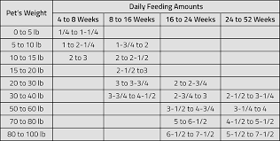 Puppy Food Amount Chart Goldenacresdogs Com