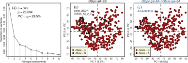 Check spelling or type a new query. Prospects Of Gwas And Predictive Breeding For European Winter Wheat S Grain Protein Content Grain Starch Content And Grain Hardness Scientific Reports