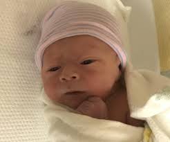 Houston officially reaches the dog days of summer