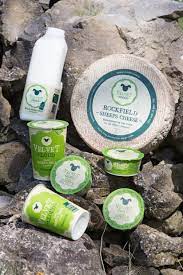 Can A Dairy Free Diet Include Goat S Milk Or Sheep S Milk Velvet Cloud Sheep S Milk