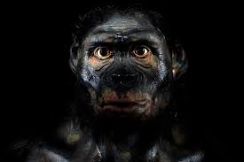 Neanderthal Images – Browse 31,462 Stock Photos, Vectors, and Video | Adobe  Stock