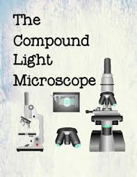 The Compound Light Microscope Microscopic Light Compounds