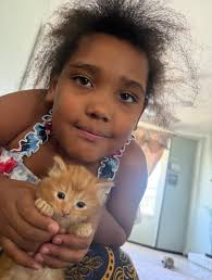 UTAH PETS: LOST AND FOUND