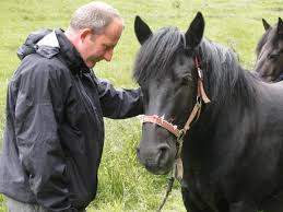 Discover The Secret Behind Horsepower - Read Now! | Just Horse Riders