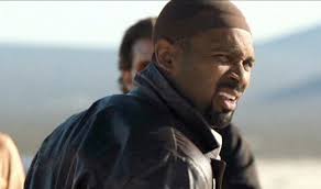 Ator de 'Se Beber não Case' leva canguru na coleira para stand-up e toma  soco do animal