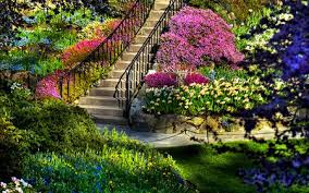 Choose from the best collection of flower backgrounds for your device. Just Wow Butchart Gardens Beautiful Gardens Amazing Gardens