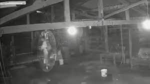 96 lazaro premium video footage. Video Mostra Psicopata Apontado Como Autor De Chacina Em Ceilandia Em Fazenda De Goias Veja Pais Diario Do Nordeste