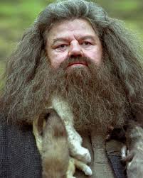 What is Nishi pointing at?