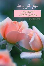 wallpaper background qattania1110 quotestagramquotestagram quotes quotestoliveby loveyouall lovequotes loveyourse flower fashion blessed friday flowers