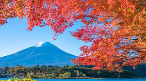 Ryokan And Hotels With Mt Fuji View Japan Traveler Online