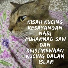 Pixie bob menjadi jenis kucing yang memiliki bobot tubuh terbesar di dunia. Kisah Kucing Kesayangan Nabi Muhammad Saw Dan Keistimewaan Kucing Dalam Islam