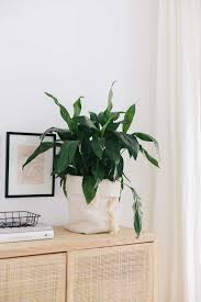 Ikea Sortso Hackwie Du Aus Einem 3 Euro Teppich Einen Tollen Diy Ubertopf Ikea Diy Ikea