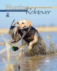 The live oak suwannee democrat is one of the oldest continuously published weeklies in the state of florida. Publications United Kennel Club Ukc