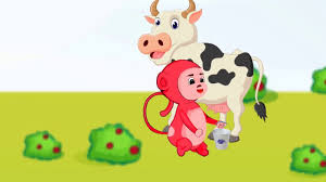 Image result for monkey picture cartoon