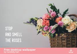 Maybe you would like to learn more about one of these? Stop And Smell The Roses Cute Floral Quote Inspirational Background Wallpaper You Can Download For Free On The Calendar Wallpaper Desktop Wallpaper Wallpaper