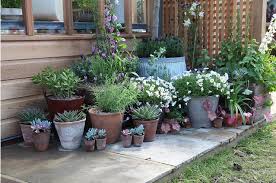 We did not find results for: Pin By Estef Sara On Home Little Big Fixes For Your Rented House Garden Containers Plants Potted Plants Outdoor