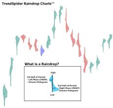 Trendspiders Raindrop Charts Combine Price Volume To