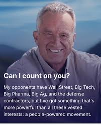 Mike McLane, Jack White Real Estate