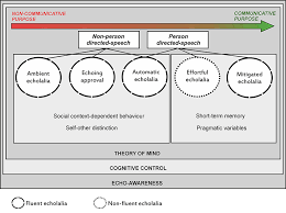 Image result for Echophenomena