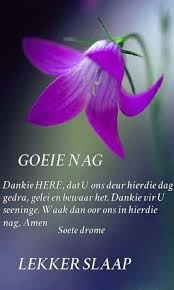 Goeienag Soete Drome Goeie Nag Nag Afrikaans Quotes
