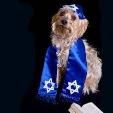 Awesome Dogs Helped Israelites Escape To The Red Sea Hanukkah Dog Dog Help Dogs