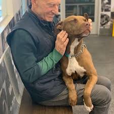 Make your own images with our meme generator or animated gif maker. Wholesomememes A Twitter Happy 80th Birthday Sir Patrick Stewart Sirpatstew From Wholesomeme Thank So Much For Adding Creating A Wonderful Life For Number One And For Your Lovely Asonnetaday Posts Https T Co Wagrsu6iqf