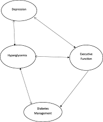 Depending on your treatment plan, you may check and record your blood sugar as many as four times a day or more often if you're taking insulin. Diabetes Depression And Cognition A Recursive Cycle Of Cognitive Dysfunction And Glycemic Dysregulation Springerlink