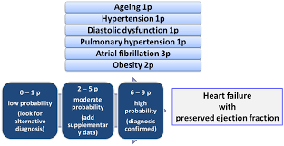 Image result for H2FPEF Score