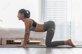 Athletic Asian Woman In Sportwear Practice Yoga Cat Cow Pose Stock Photo Picture And Royalty Free Image Image 149872394