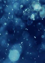Delight Snow Gif Photo Picture