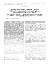 Join facebook to connect with veronica dzyuba and others you may know. Pdf Reconstruction Of Iron Metabolism Pathways Of Bacteria Magnetospirillum Aberrantis Spk Spp Based On Sequenced Genome Analysis