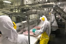 Déposez votre cv gardien d´animaux sur emploi.cm et postulez aux offres d'emploi gardien d´animaux au cameroun. Rjltabybaij8im