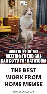 Work From Home Memes That Are 100 Accurate Working From Home Meme Class Memes Memes