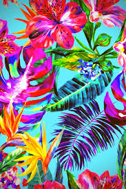Tropical Birds And Flowers Wallpaper Pin By Emily Ward On Fondos Tropical Wallpaper Tropical Art Prints