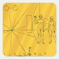 Image result for pioneer plaque