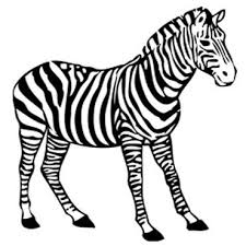 Zebra Malvorlage Zum Ausdrucken Und Ausmalen Kostenlos Zebra Zeichnung Malvorlagen Zum Ausdrucken Tiere Zum Ausmalen