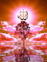 We have 77+ background pictures for you! Animated Wallpaper Hd Wallpapers