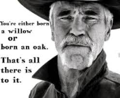 All american season 2 episode 1. Yellowstone Lloyd Tv Series Quotes Yellowstone Series Yellowstone