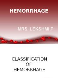 Image result for Hemorrhage Classification