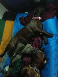 To see what your friends thought of this quote, please sign up! Ah The Sleep That Knits Up The Raveled Sleeve Of Care Imgur