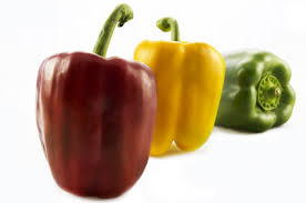 At least one species of solanum is known as the sunberry. Solanaceous Crops Crops Fertilgest