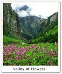 This is the best time to visit the valley of flowers. Valley Of Flowers World Events News Facts Blogs Information