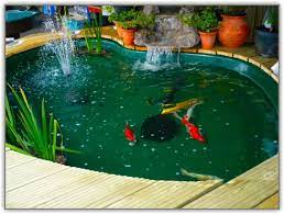 Yaitu cat yang memiliki unsur acrylic atau anti air. Cat Kolam Ikan Yang Bagus Tentang Kolam Kandang Ternak
