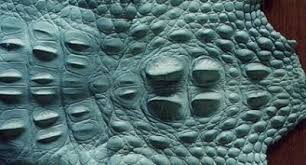 There are a number of dealers that will call any crocodile skin porosus to purposefully charge higher prices. What S The Average Price Of One Complete Sheet Of Tanned Leather Made From Real Crocodile Skin Quora