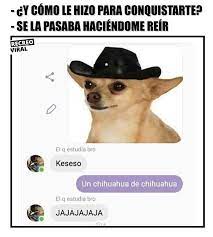 Un Buen Meme Conquista A Cualquiera Meme Foto Amor Risa Fail Meme Gracioso Memes Divertidos Memes